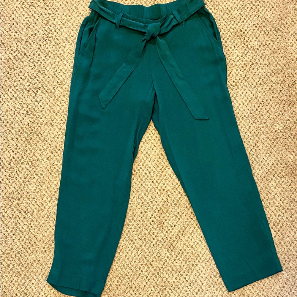 Teal ankle length pants